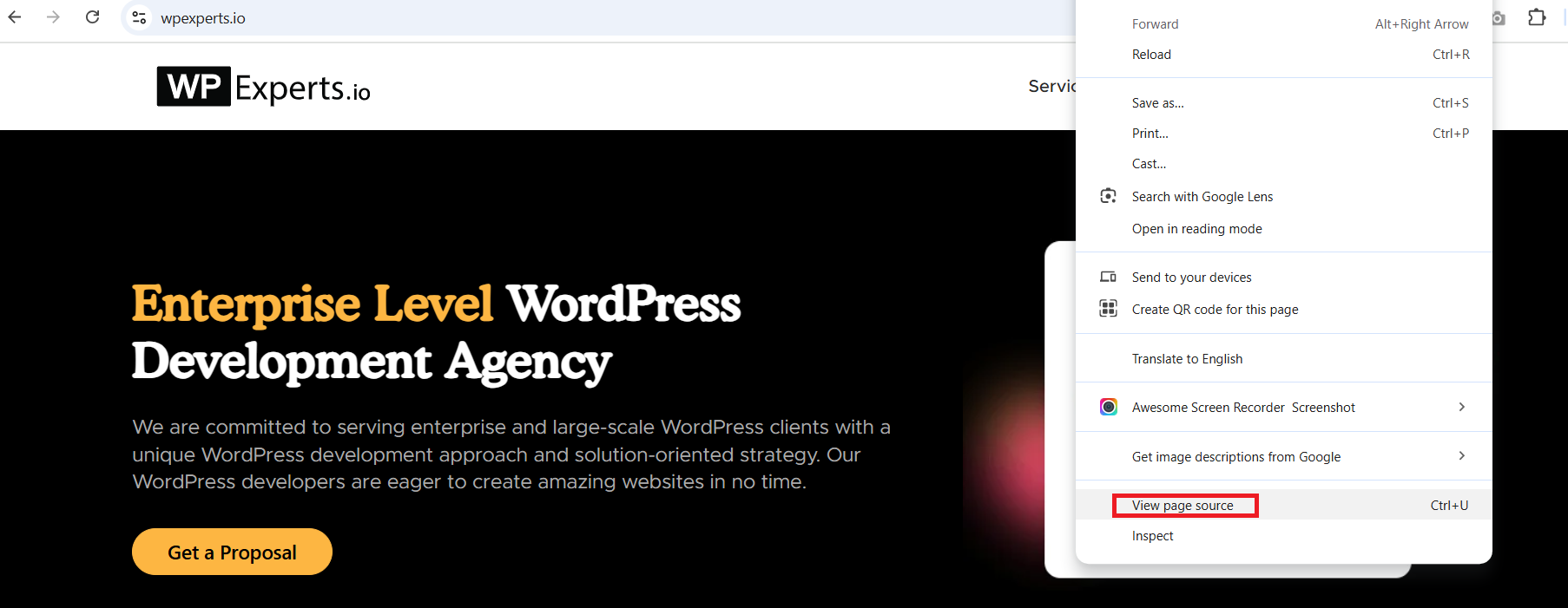 View Page Source Browser Feature