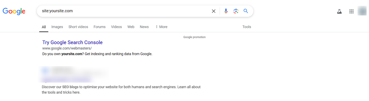 Check the Site Manually on Google