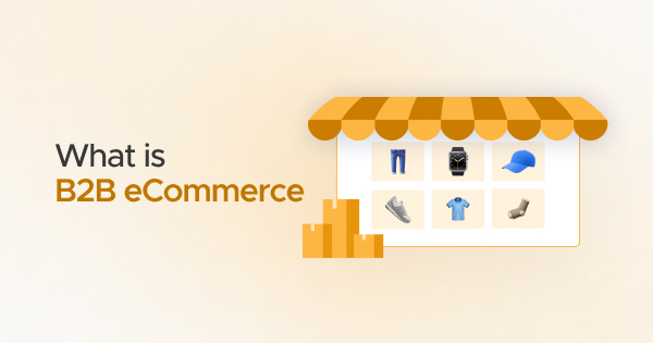 What is B2B eCommerce? Complete Guide for Modern Businesses