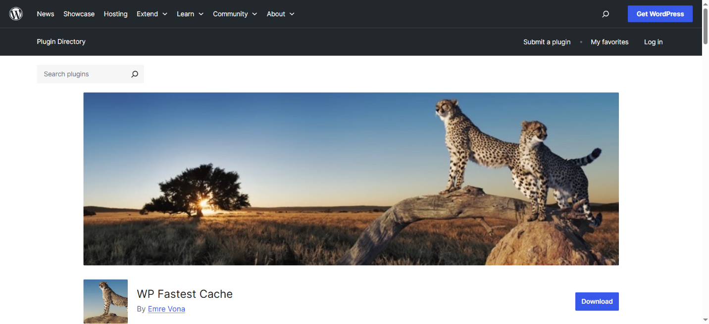 WP Fastest Cache Plugin