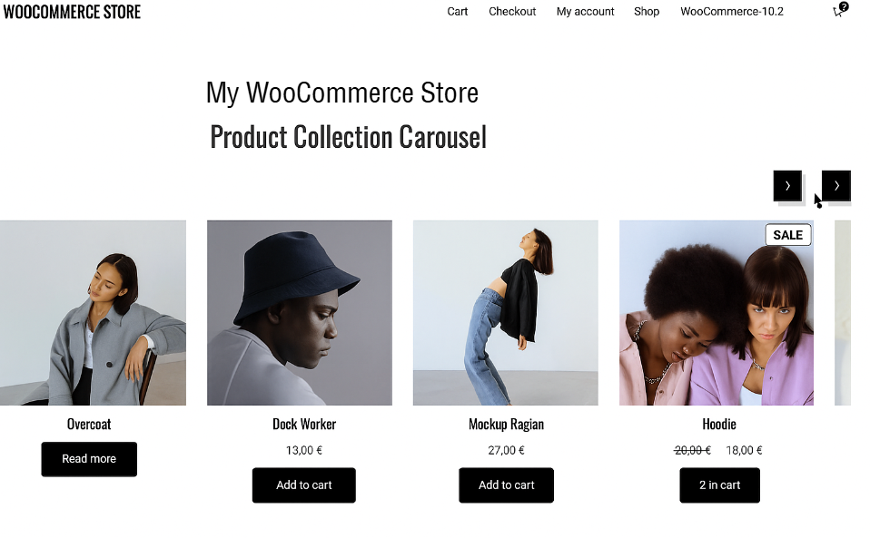 Product Collection Carousel