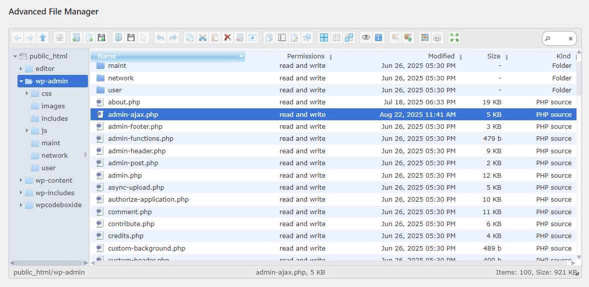 Launch the AI Coding Assistant - WPExperts Launch the AI Coding Assistant
