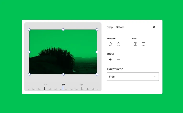 New Media Editor Modal