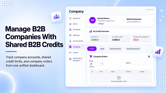 Manage B2B Companies With Shared B2B Credits Manage B2B Companies With Shared B2B Credits