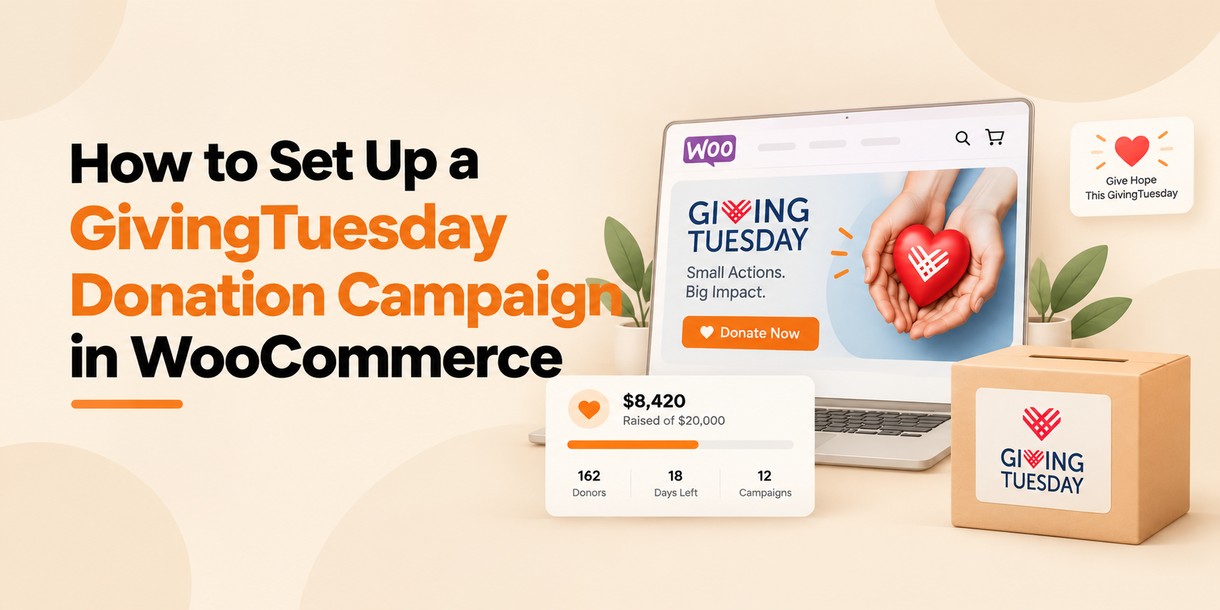 GivingTuesday Donation Campaign Guide